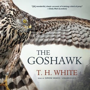 goshawk