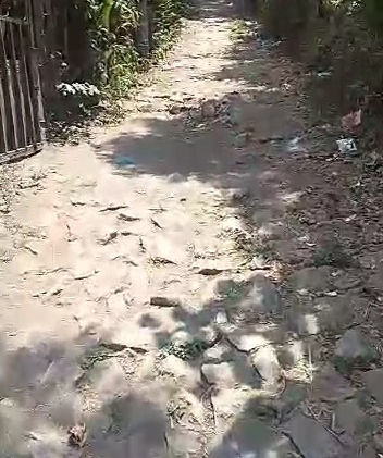 Picture Extractor-1682653912739.jpg