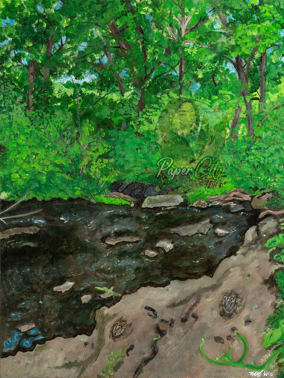 5"X 7" Dinosaur Footprints