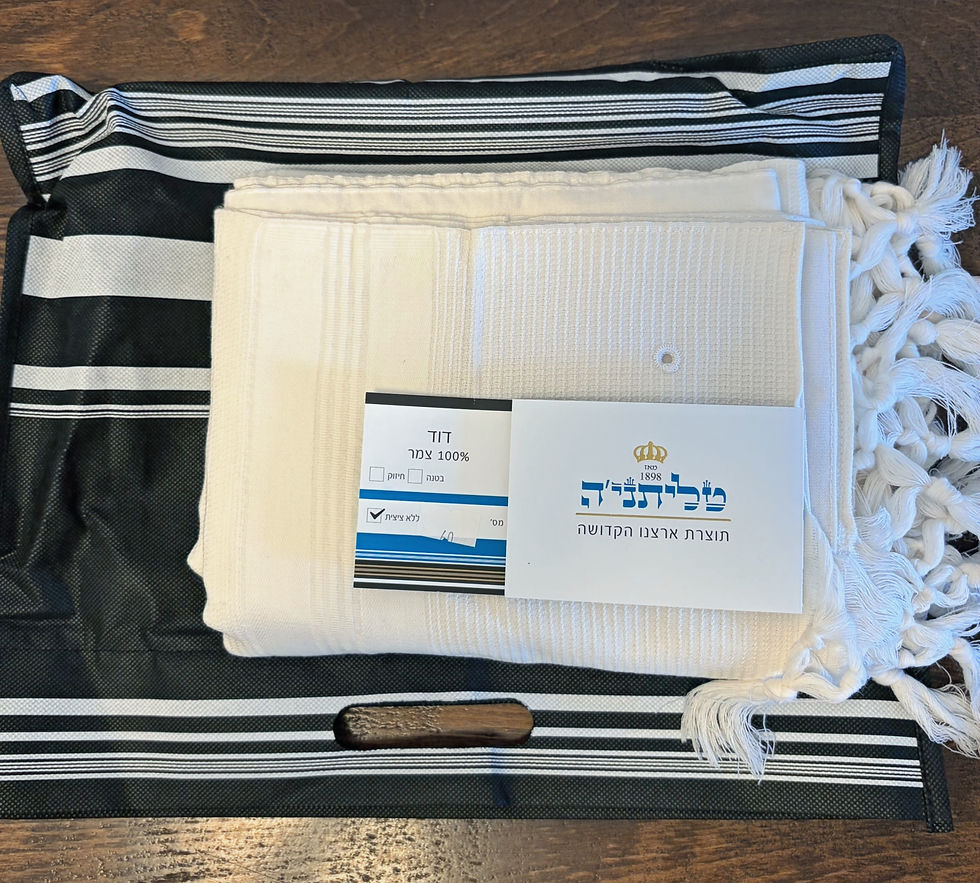 תמונה ממוזערת: טלית דגם דוד לבן