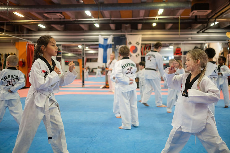 Herttoniemen-taekwondo-alkeiskurssi.jpg