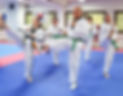 Tikkurilan-taekwondo-seniori-taekwondo-ryhmä.jpg