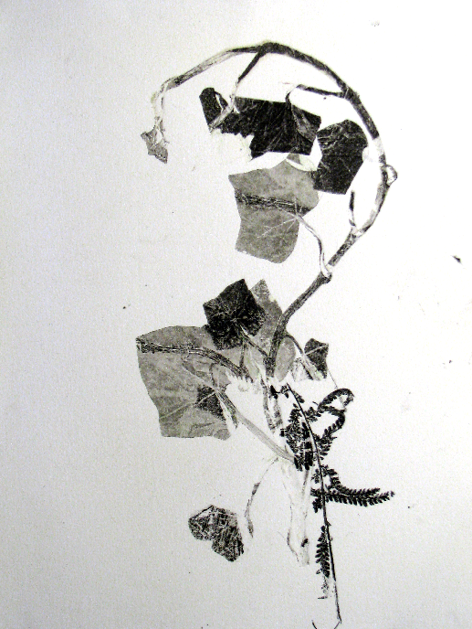 vine spine