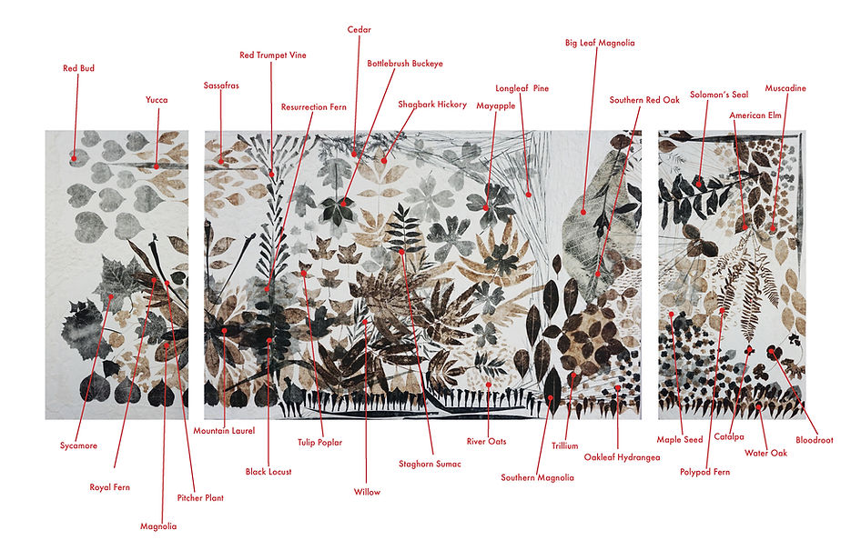Dance of Alabama's Seasons with common .