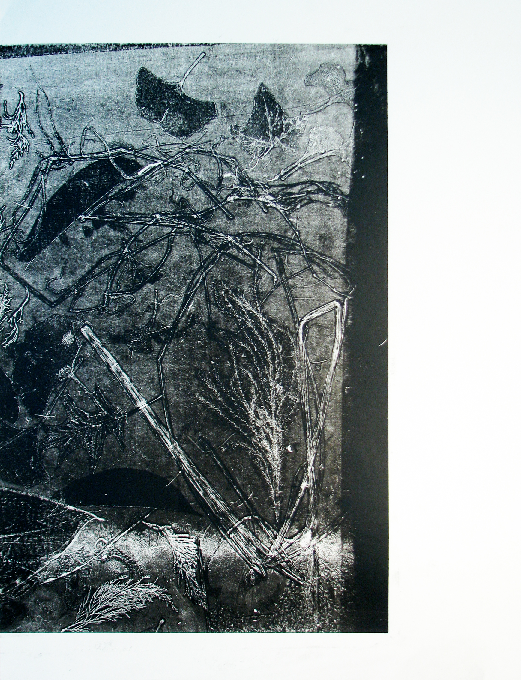 floating matter series 4