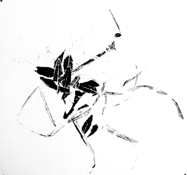 mosquito dance