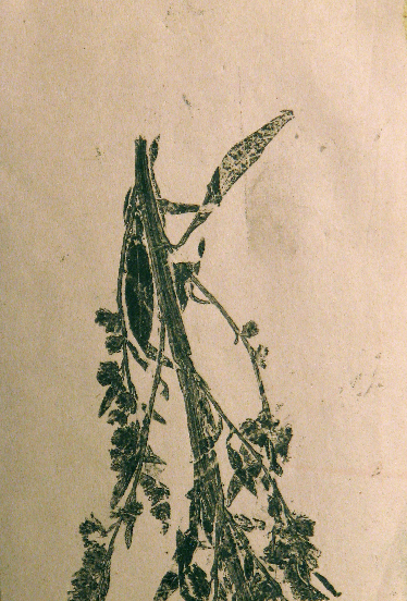 perch