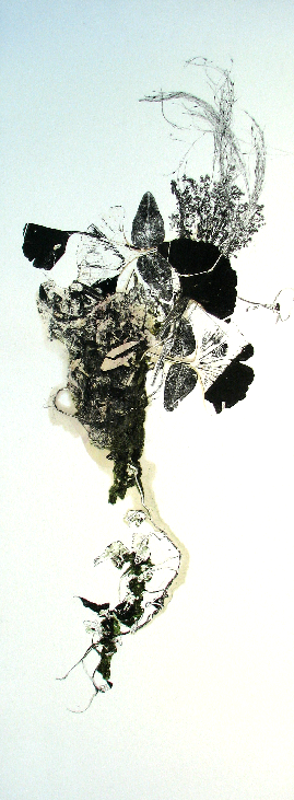 leaf dance composition