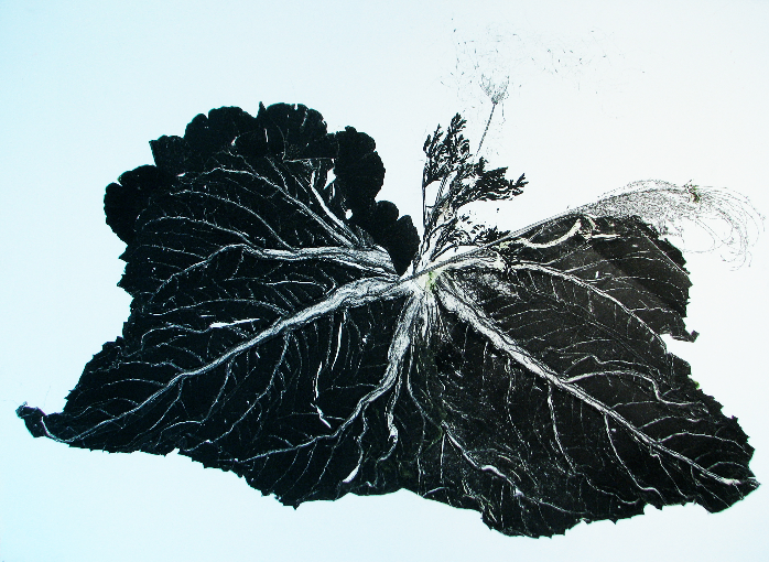 pulsating organ