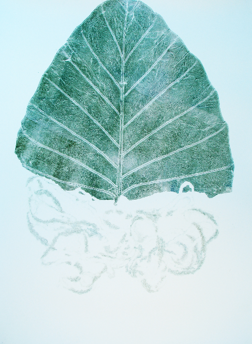 leaf composition