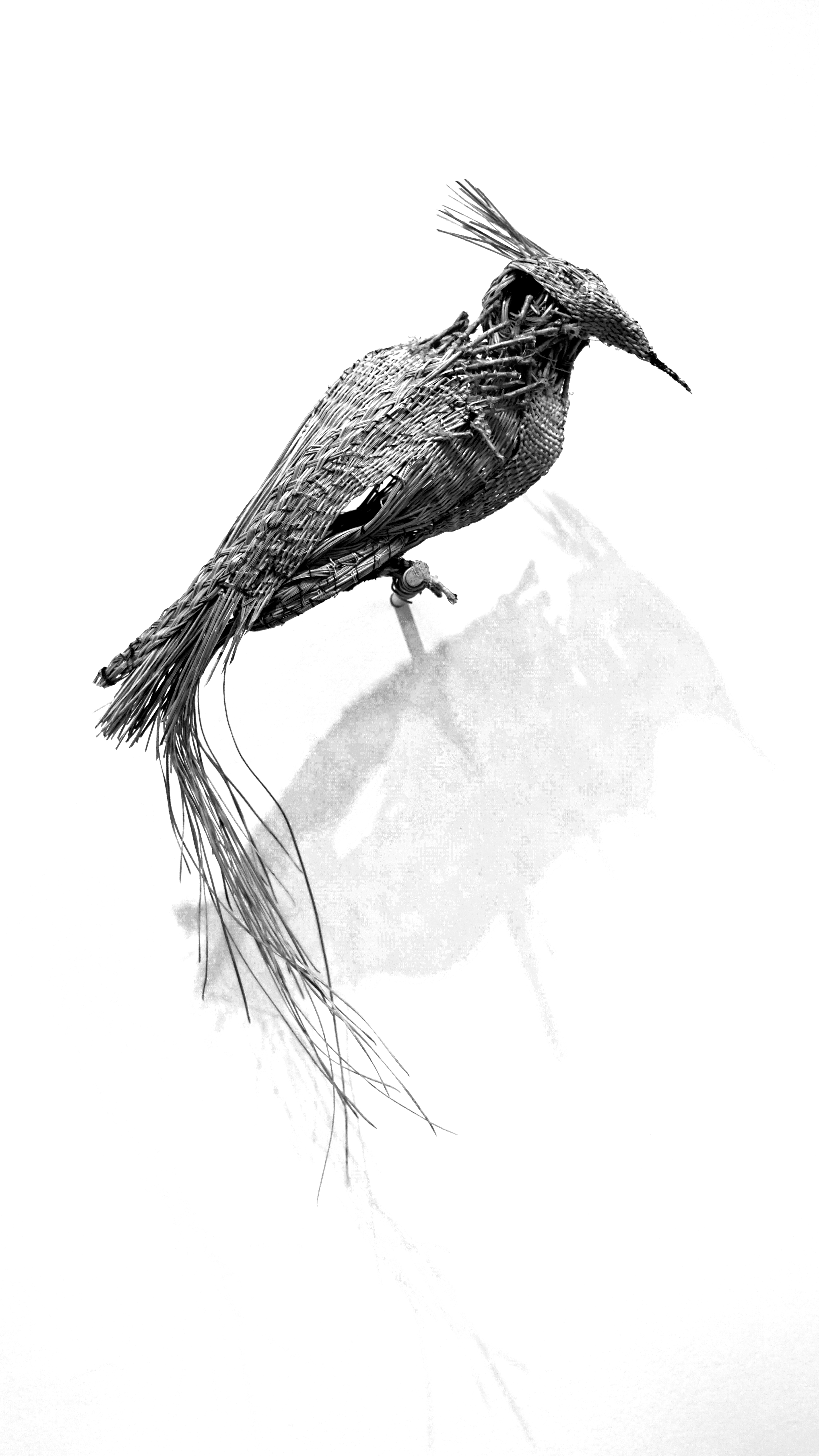 longleafwovenbirdblk&wht