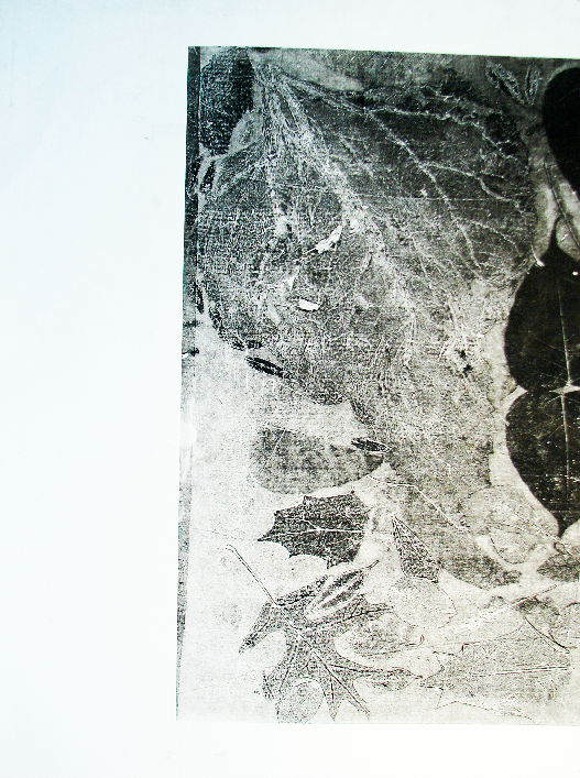 floating matter series 1