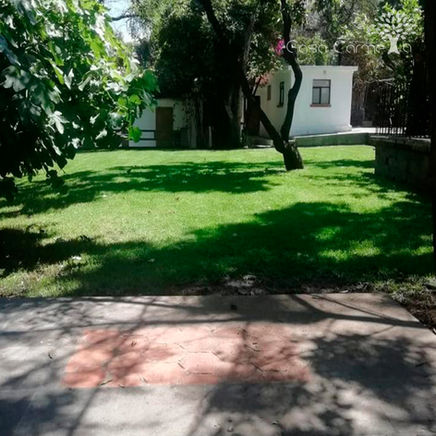 jardin01.jpg