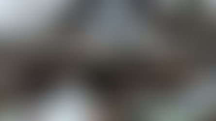 Estate Cleanout Checklist: What to Do After Losing a Loved One