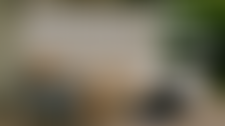 5 Smart (and Free) Ways to Get Rid of Junk in Madison — Without Sending It to the Landfill