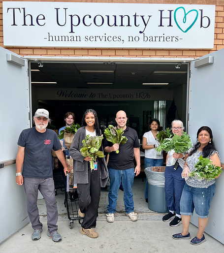 Hub Volunteers Dodo Lettuce 6.6.2024.heic