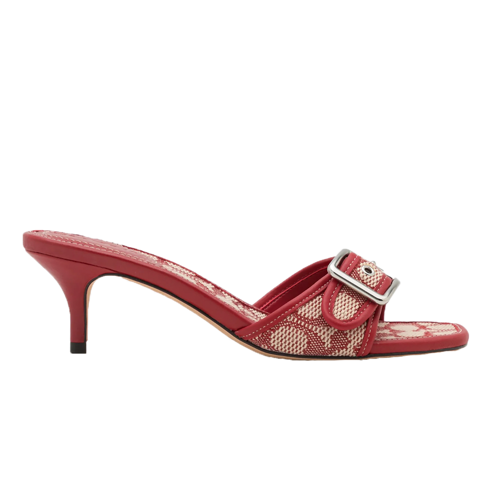 COACH (2025 - PRESENT)