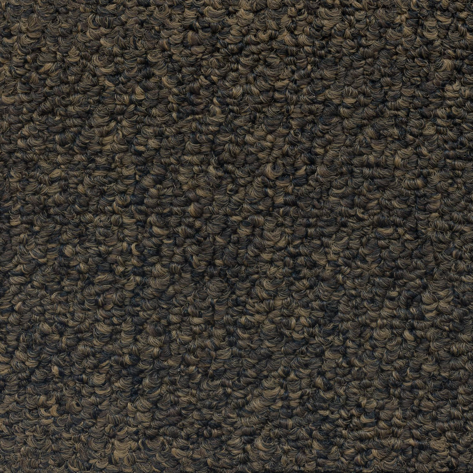 Earth 879