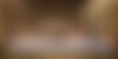 Leonardo da Vinci biografi