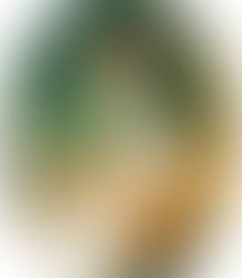 Sammanfattning av Cranford av Elizabeth Gaskell