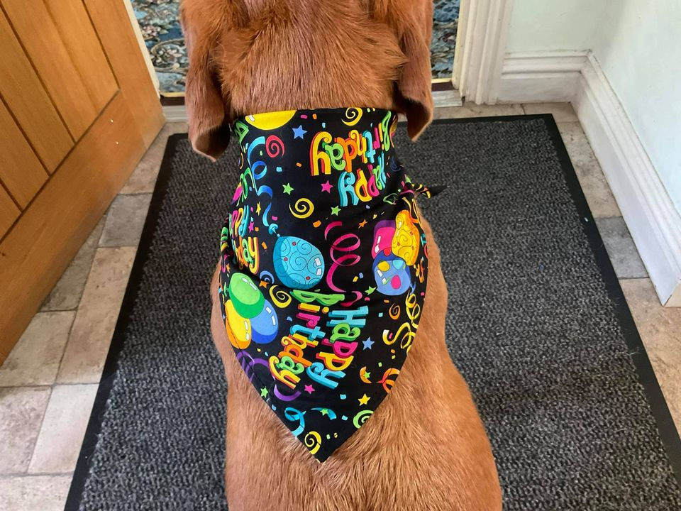 Thumbnail: Happy Birthday Dog Bandana
