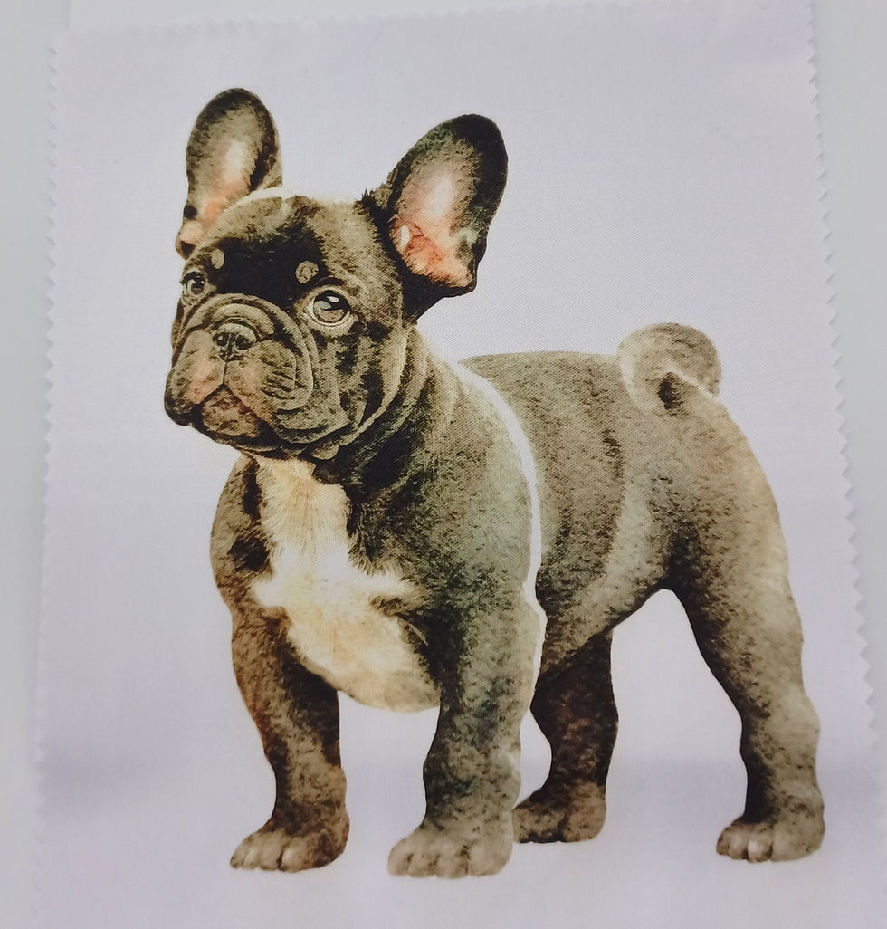 Thumbnail: Lens Cleaning Cloth, Phone, Laptop, TV screens, Glasses, Dog Breeds