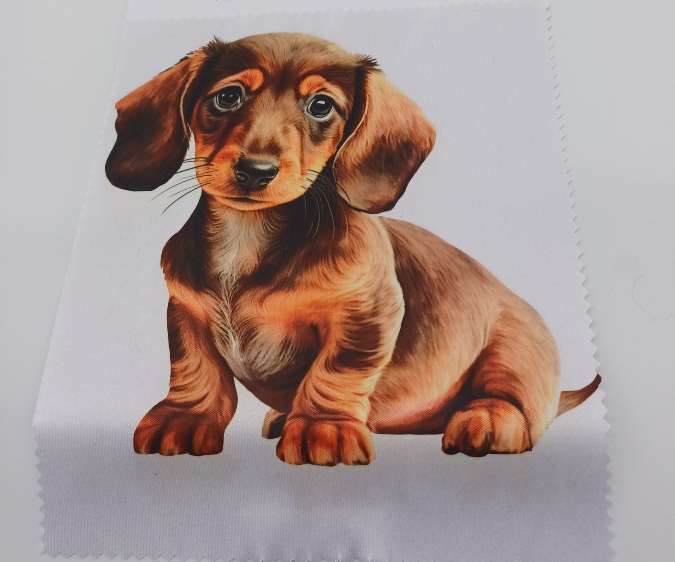 Lens Cleaning Cloth, Phone, Laptop, TV screens, Glasses, Dog Breeds