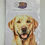 Thumbnail: Lens Cleaning Cloth, Phone, Laptop, TV screens, Glasses Dog Breeds, Labrador