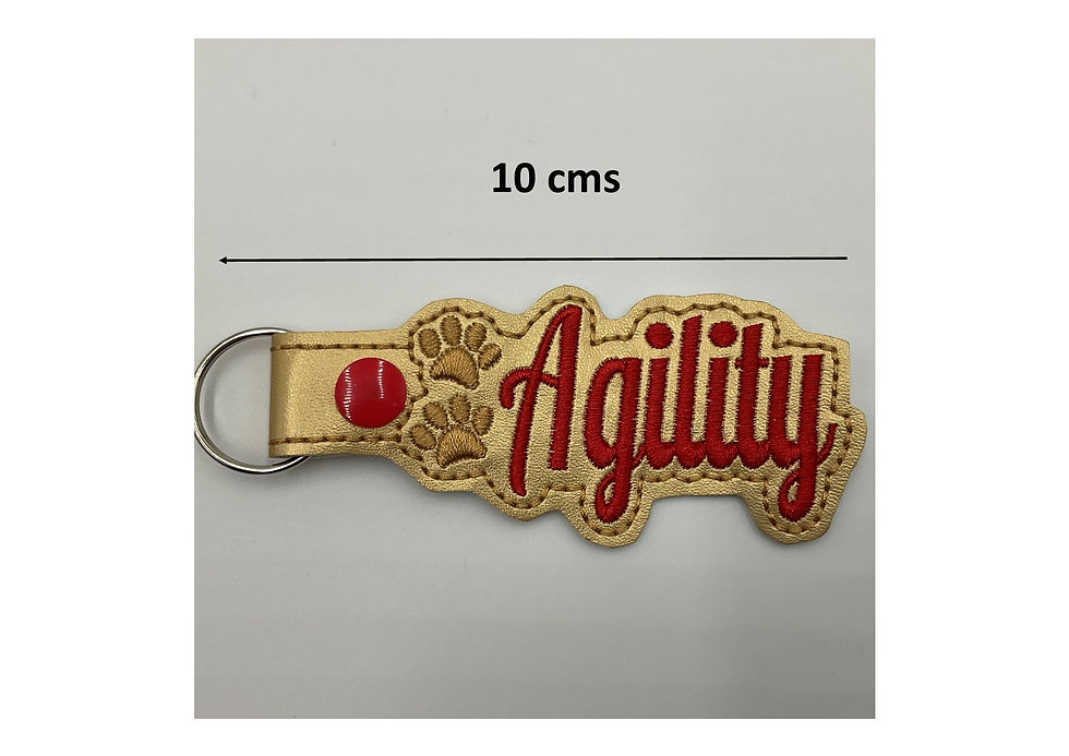 Thumbnail: Key Fob -AGILITY