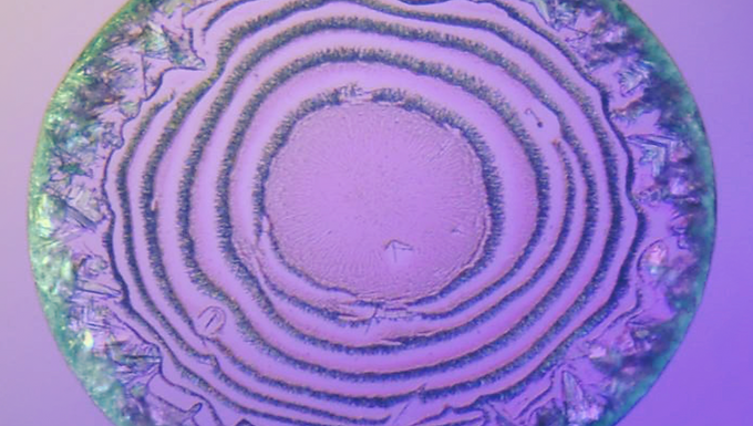 Evaporative Crystallization of Spirals