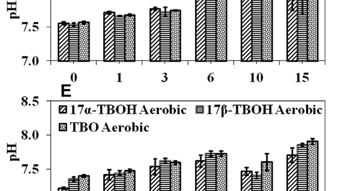 Rates and product identification for trenbolone acetate metabolite biotransformation under aerobic conditions