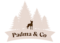 logo v2