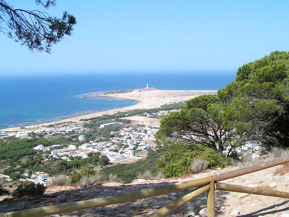 TORRE-DE-MECA-FARO