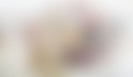 Fjórðungur landsmanna með hunda á heimilinu