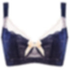 Plus Size Lace Bra