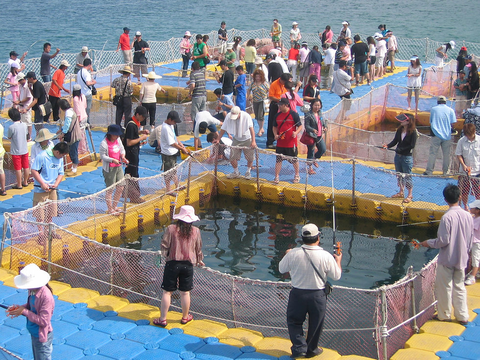 Fish Farm