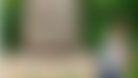 Parque Museo la Venta... mis impresiones