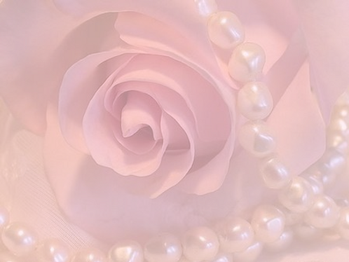 Tea Rose and Pearls_edited.webp