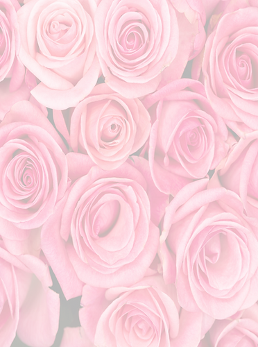 Pink Roses Multi_edited.png