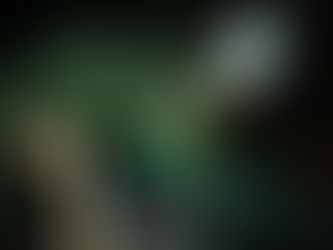 Madrid Popfest 2016 - Live