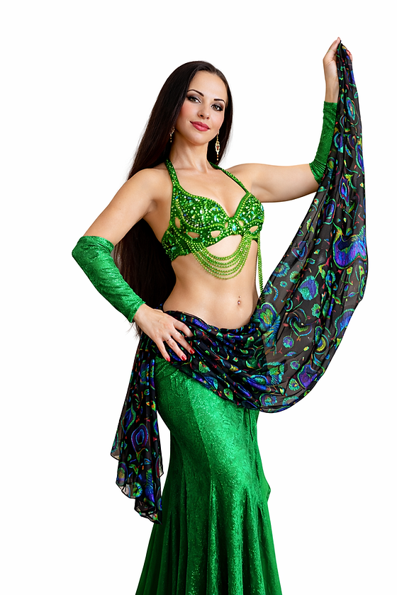 slim fit dress slacks Belly Dance Skirt, Top, Veil, & Hip Scarf Costume Set | SERENITY SERENADE main image 1