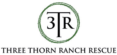 #3TR Logo