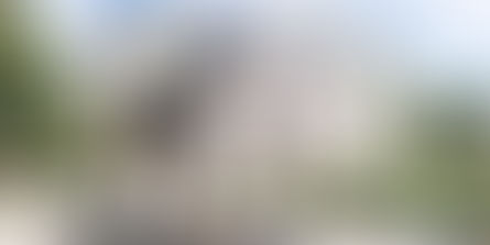 STUDY VETERINARY MEDICINE IN ONE OF THE MOST PRESTIGIOUS UNIVERSITIES OF EUROPE