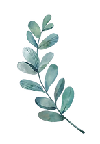 pngegg (1)_edited.png