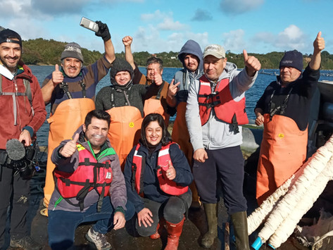 Productores de choritos de Calbuco darán a conocer su labor a través del programa “Chile Conectado”