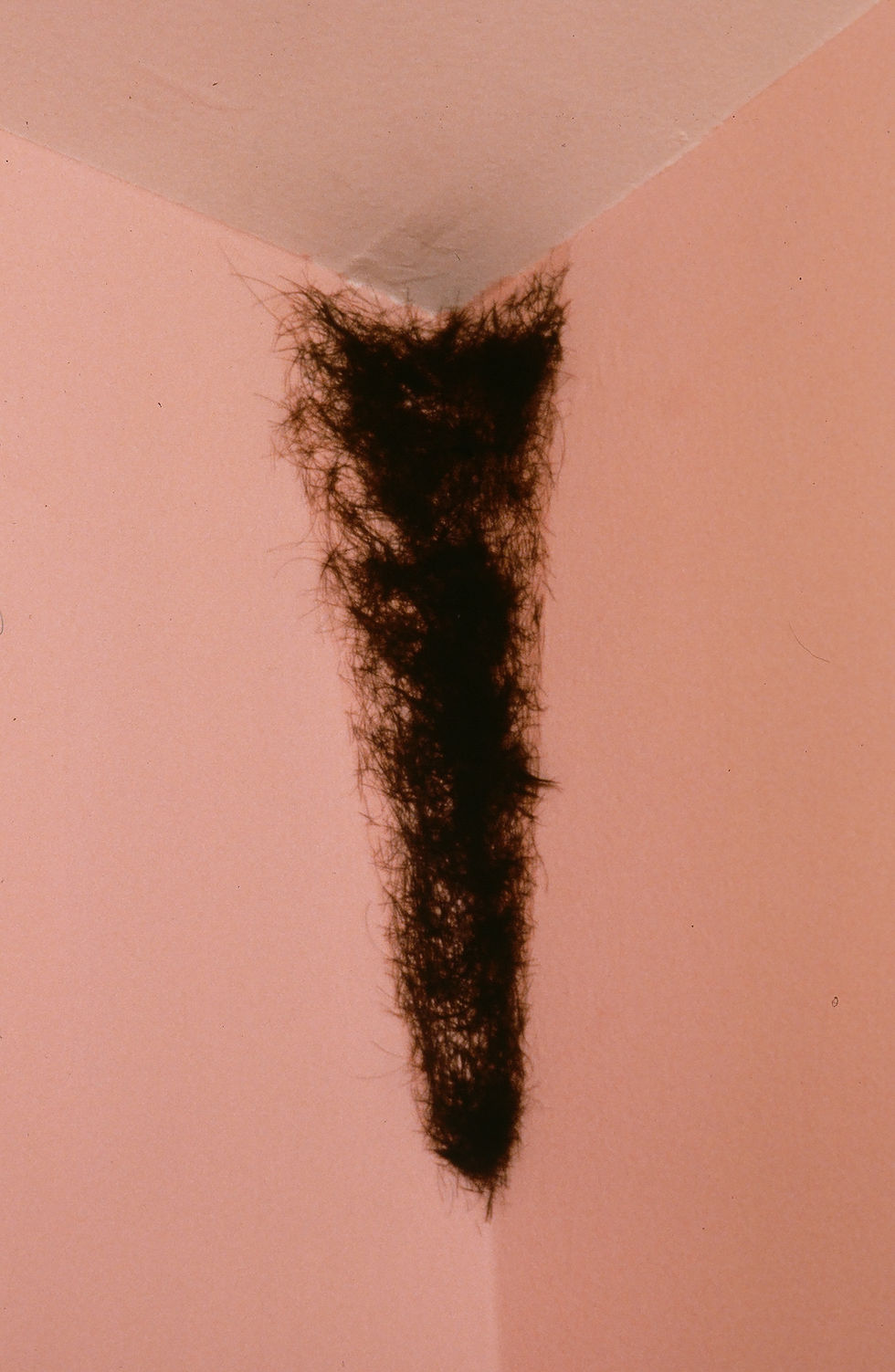 20020064.JPG