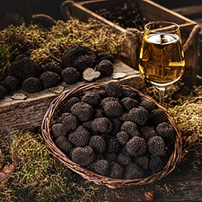investir-dans-la-truffe.jpg