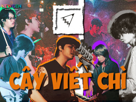 CÂY VIẾT CHÌ: TỪ NHỮNG “NÉT VẼ” ĐẦU TIÊN ĐẾN BỨC TRANH ÂM NHẠC ĐẦY MÀU SẮC
