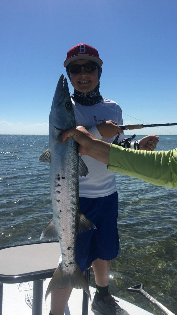barracuda