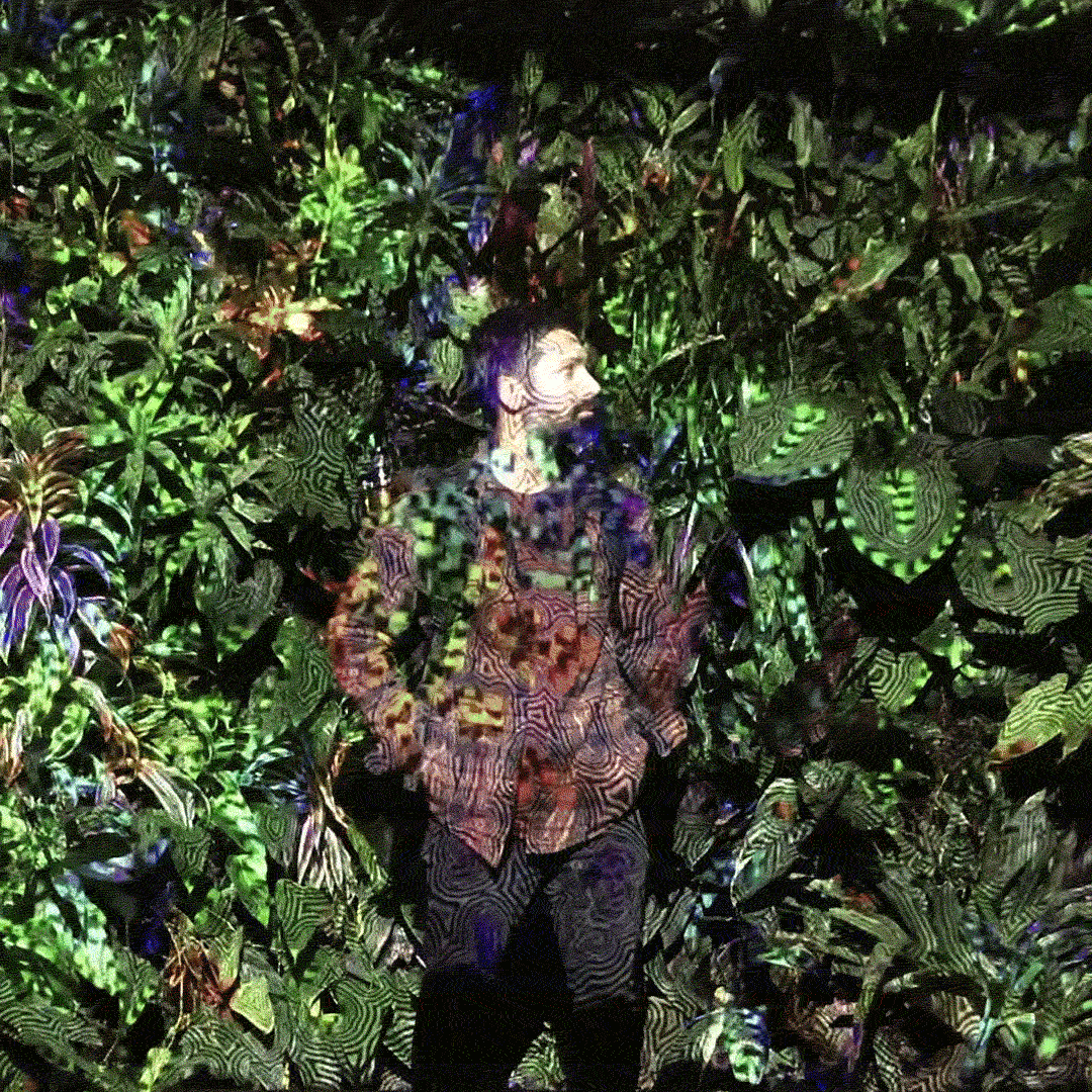IMG-3084.gif